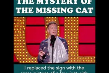 😹 Joe Lycett’s missing cat will make your day