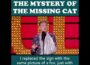 😹 Joe Lycett’s missing cat will make your day